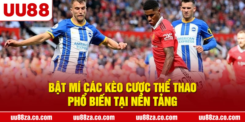 Bật mí các kèo cược thể thao phổ biến tại nền tảng