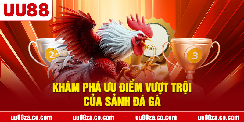 Khám phá ưu điểm vượt trội của sảnh đá gà