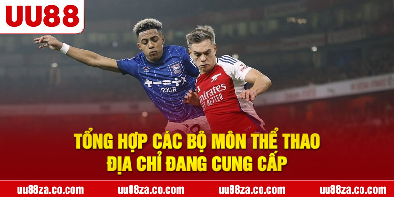 Tổng hợp các bộ môn thể thao địa chỉ đang cung cấp